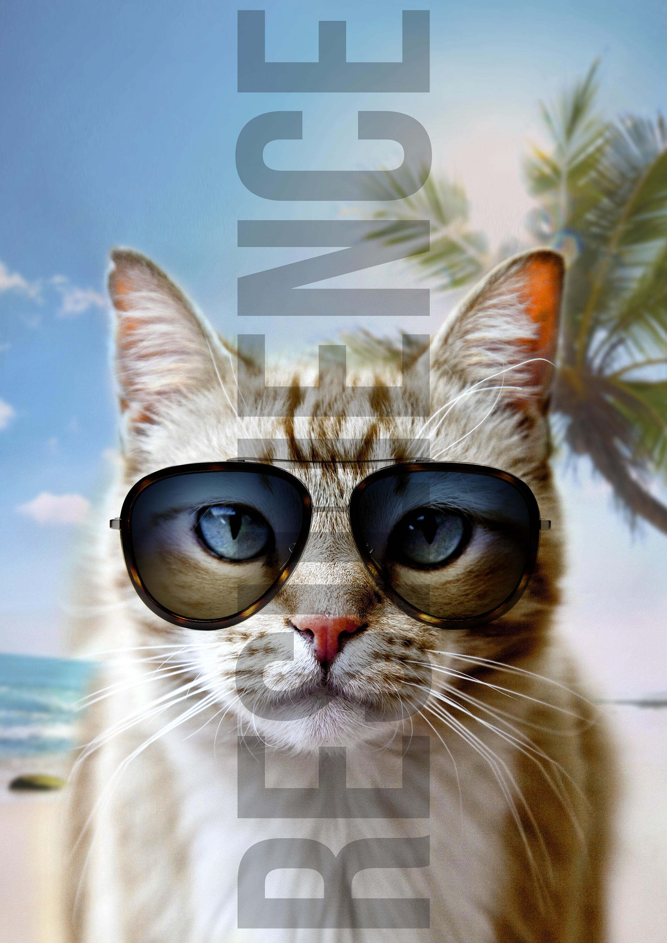 Cats In Glasses T-Shirt / Beach Cat Portrait T Shirt