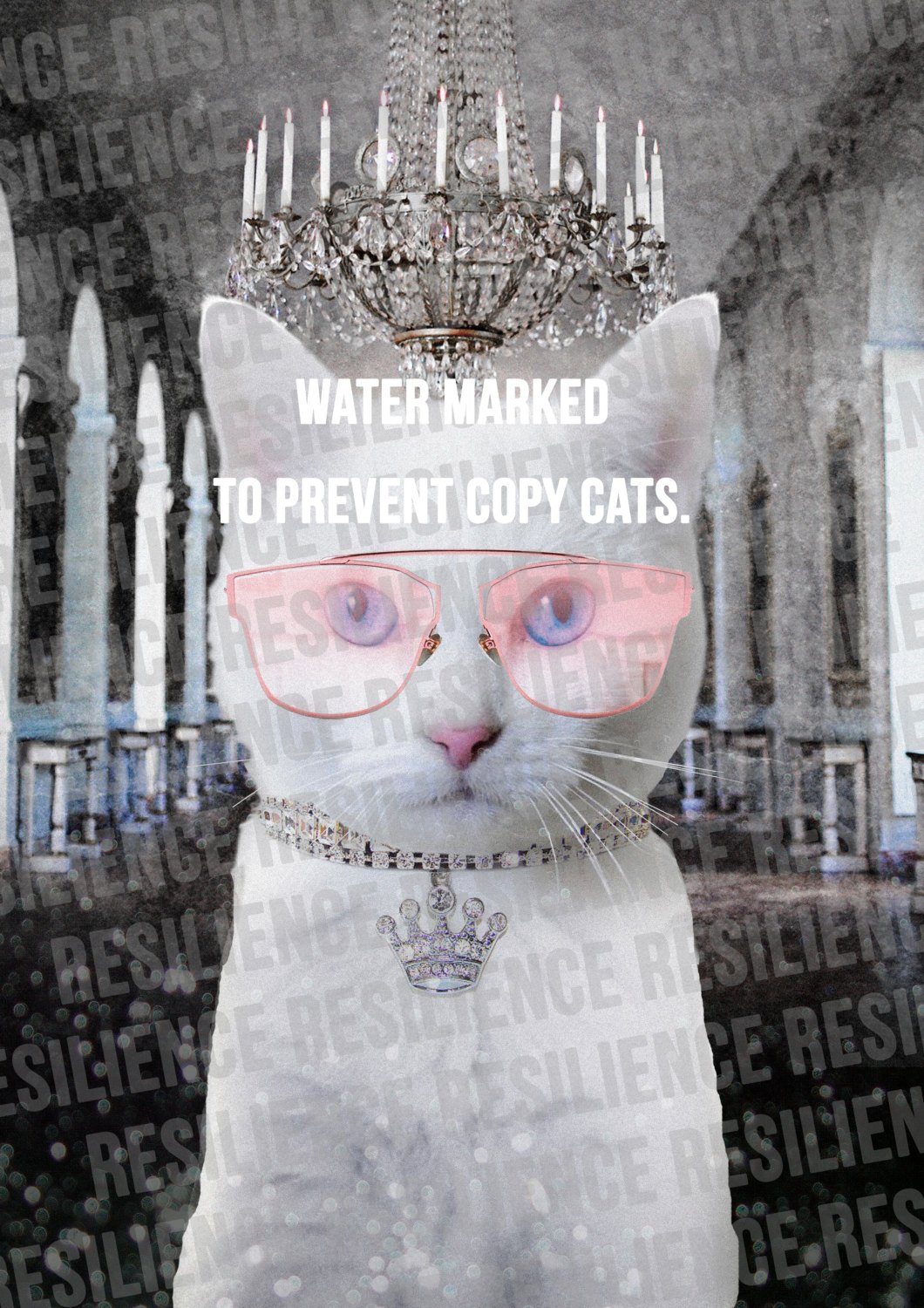 White Princess Cat In Glasses T-Shirt / Pampered Princess Hipster Cat Portrait T Shirt